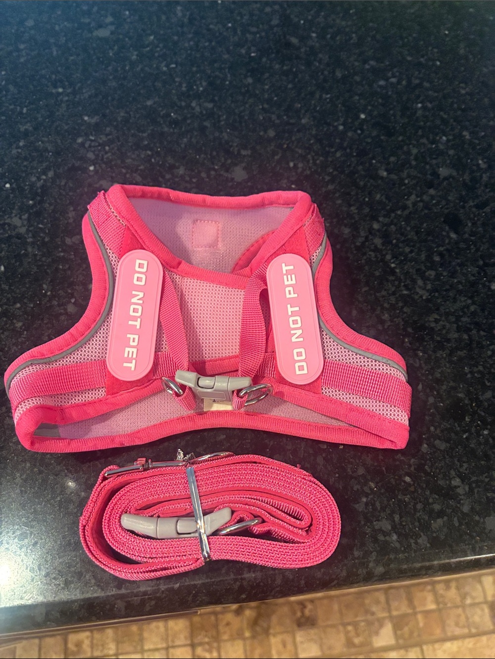 Never Used Pink Dog Harness
